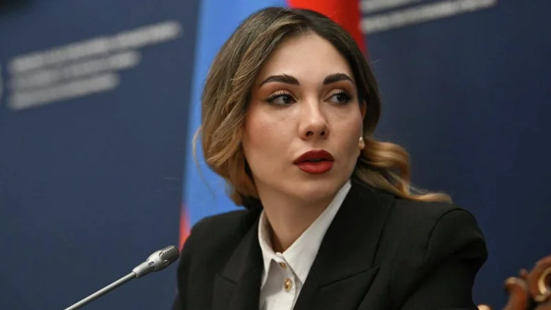 Հայաստանին սպառնացnղ վտանգ չկա. Սրբուհի Գալյան