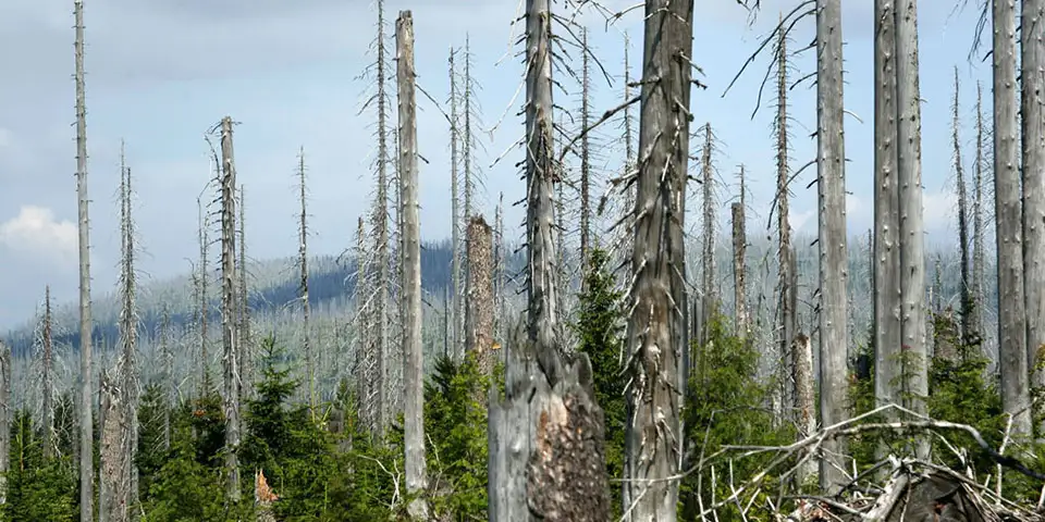 ՀՀ-ում «թթվային անձրևներ» չեն արձանագրվել