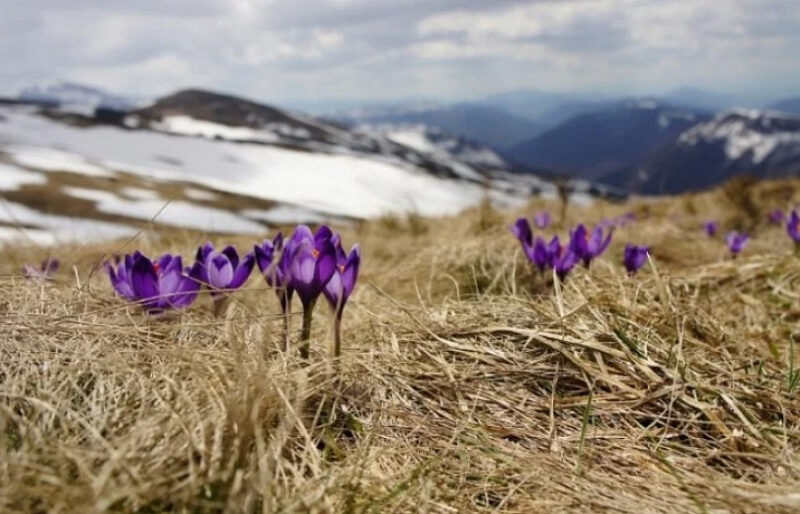Հանրապետության տարածքում մարտի 24-ի ցերեկը սպասվում է առանց տեղումների եղանակ