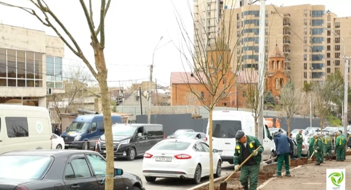 Պռոշյան և Պարոնյան փողոցներում 10-ից ավելի տարիք ունեցող սոֆորա ճապոնական ծառեր են տնկվել