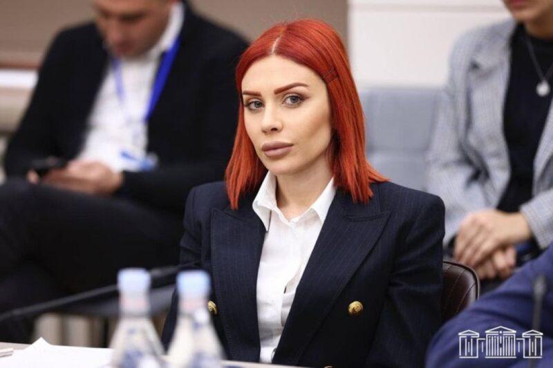 Եթե մեզանից կախված լինի իշխանափոխությունը, մենք պատրաստ ենք համագործակցության․ Ագնեսա Խամոյան