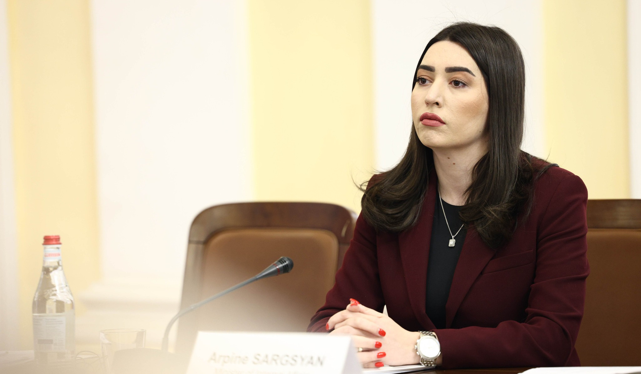 ՀՀ քաղաքացիներին տրամադրվող ԵՄ վիզաների թիվը էականորեն աճել է. Արփինե  Սարգսյան