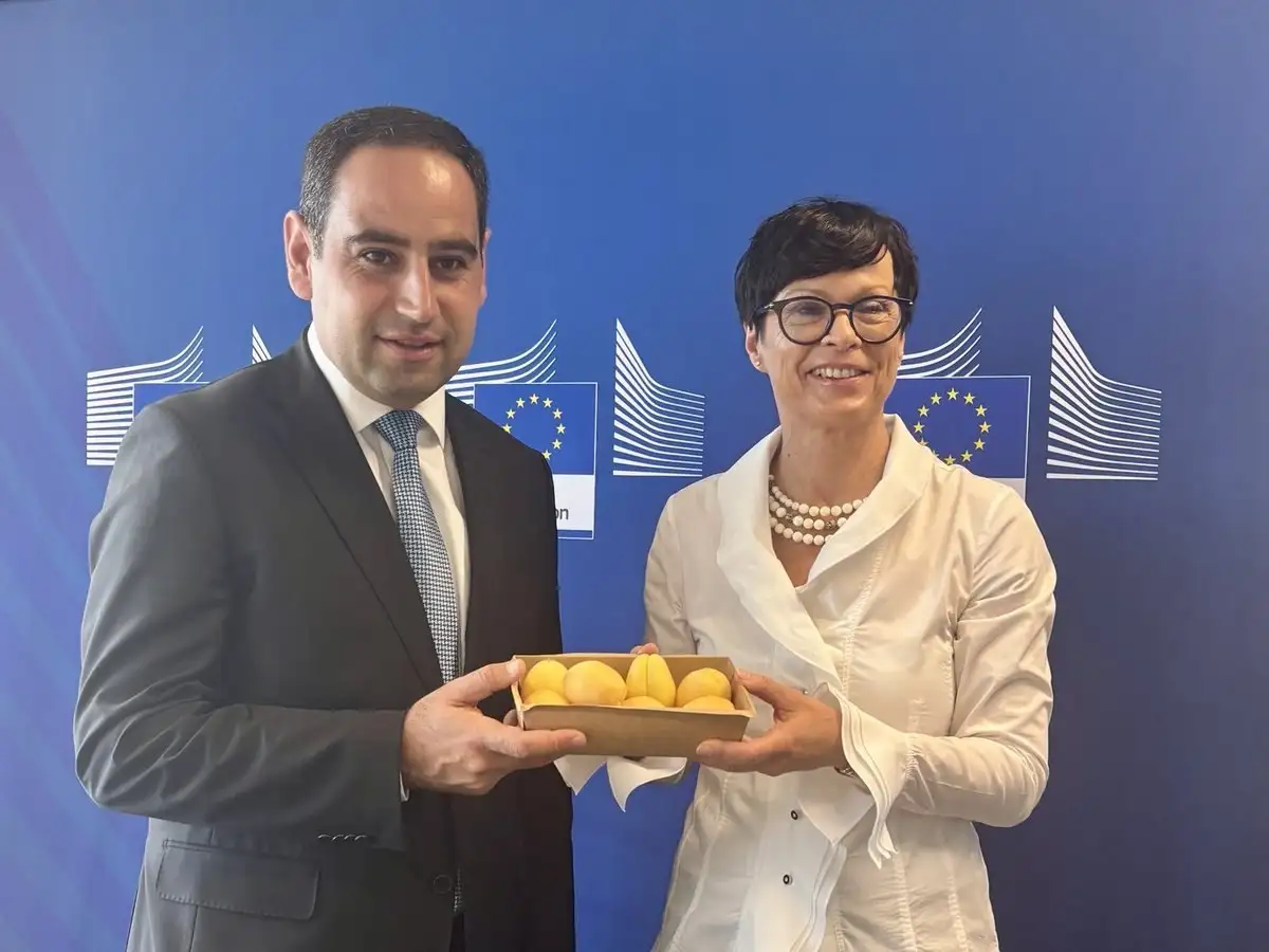 Հայկական ծիրանի առաջին խորհրդանշական խմբաքանակը ժամանել է Եվրամիություն. Կոս