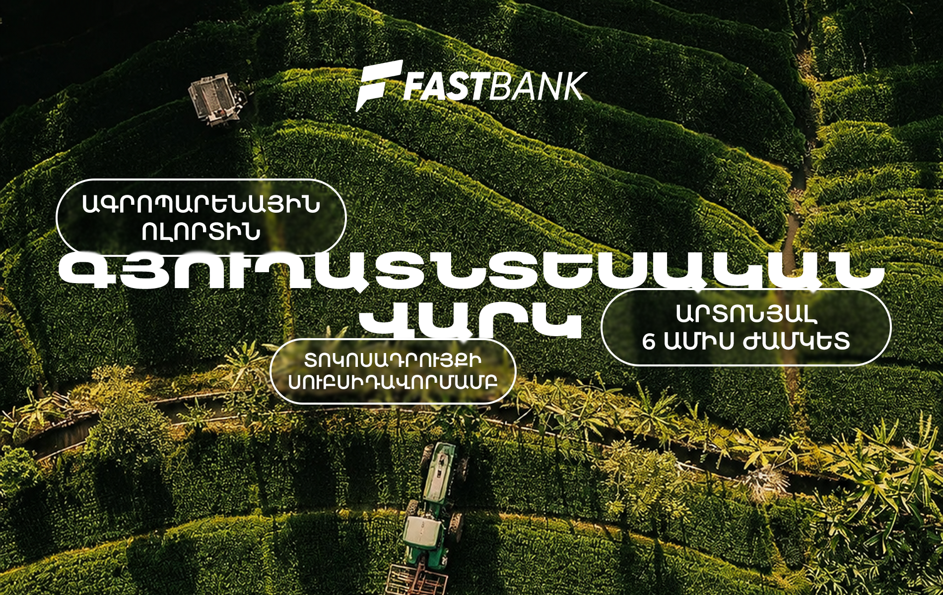 Ֆասթ Բանկն առաջարկում է գյուղատնտեսական վարկ պետական սուբսիդավորման ծրագրով