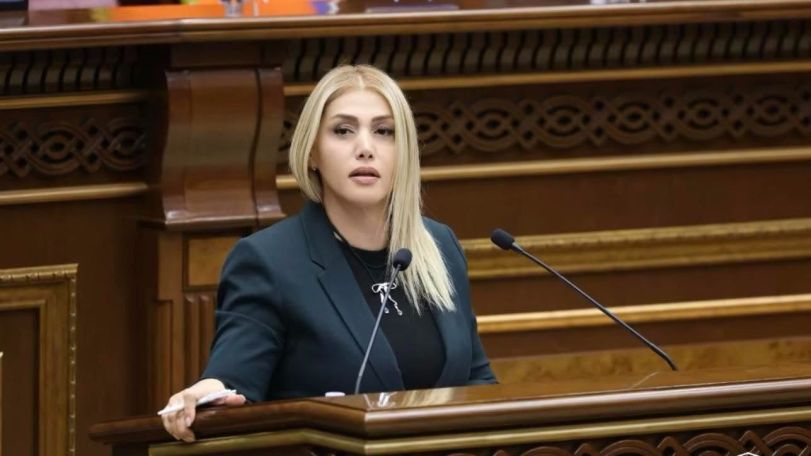 Ոչ ոք իրավունք չունի գողանալ ժողովրդի ձայնը. Էլինար Վարդանյան