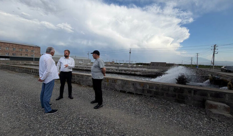 Պապոյանը «Ինտեր ակվա» ՍՊԸ-ի հետ քննարկել է ձկնատեսակների՝ ԵՄ արտահանման հնարավորությունը