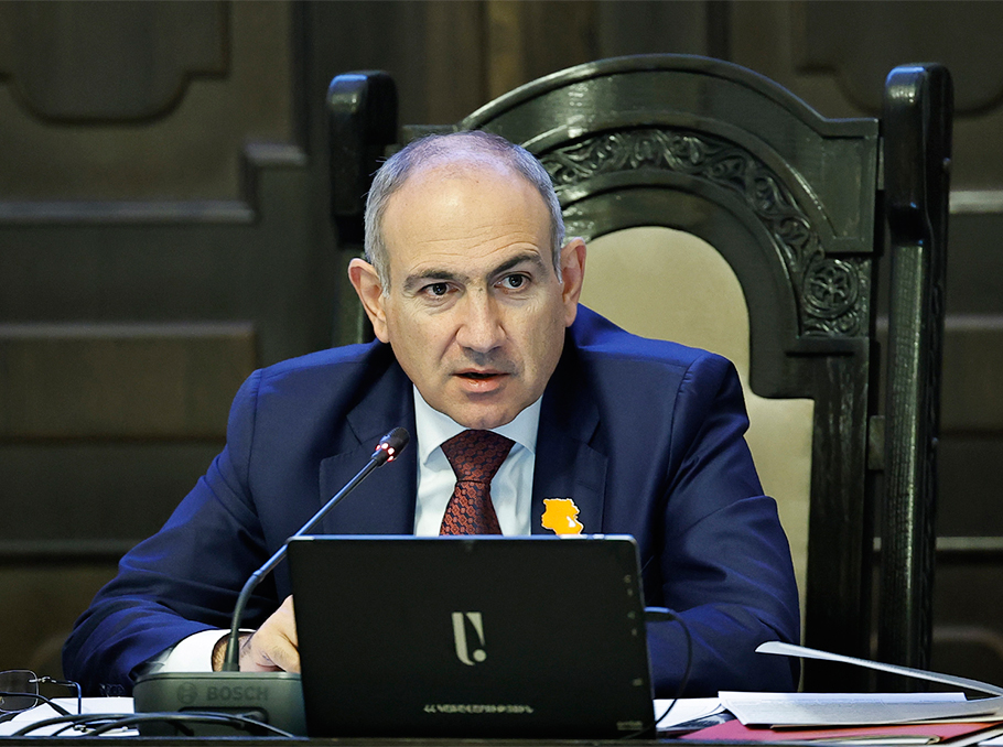 Վաղուց աճեցված ձուկ չեմ օգտագործում,  քանի որ ակնհայտ է՝ խնդիր կա. վարչապետ