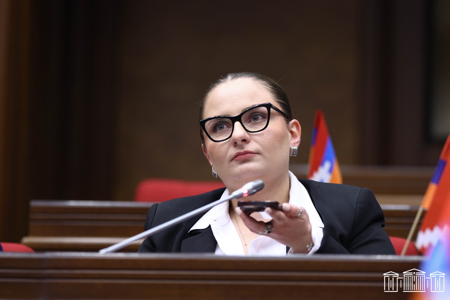 Քրիստինե Վարդանյանը չի կարծում, որ «դրոշամարտի» մեջ մտնելը ճիշտ ճանապարհ է