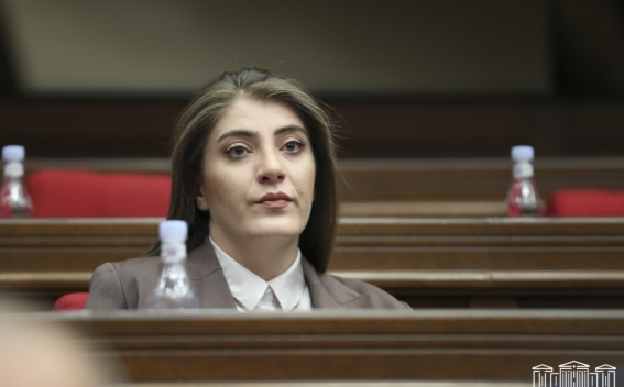 Կան ներկայացուցիչներ, որ ուզում են ԱԺ-ն վերածել էլի նույն «բոշա-փչացածի»․ Լիլիթ Մինասյան