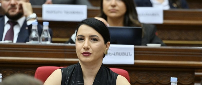 Սփյուռքը հիշողության կրողն է, որի դեմ պայքարում են Թուրքիան, Ադրբեջանը և ՔՊ-ն. Ղահրամանյան