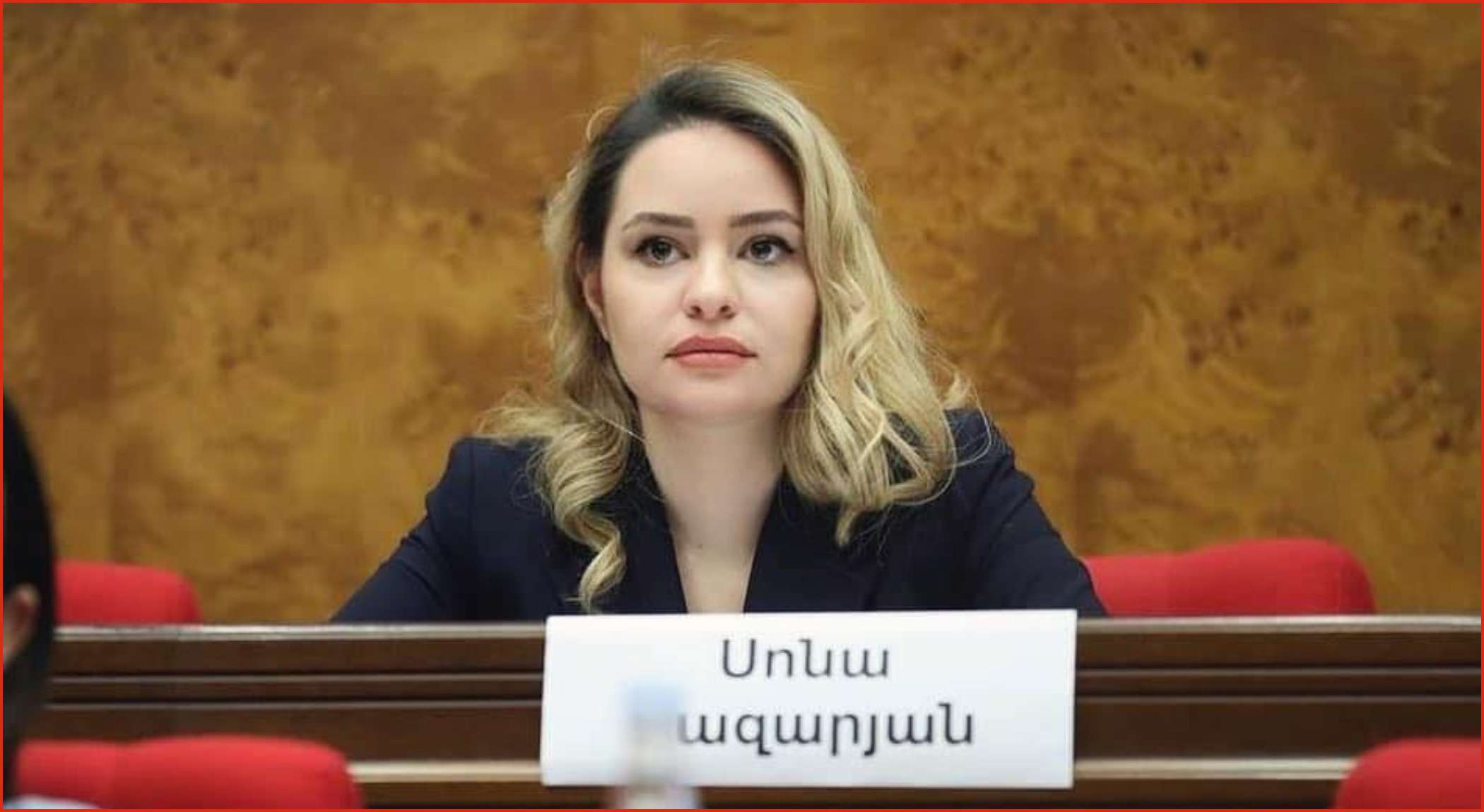 Ունեմ հիմնավորված կասկած, որ «Ուժեղ Հայաստան»-ը եկել է եվրոինտեգրման գործընթացը տորպեդահարելու․ Սոնա Ղազարյան