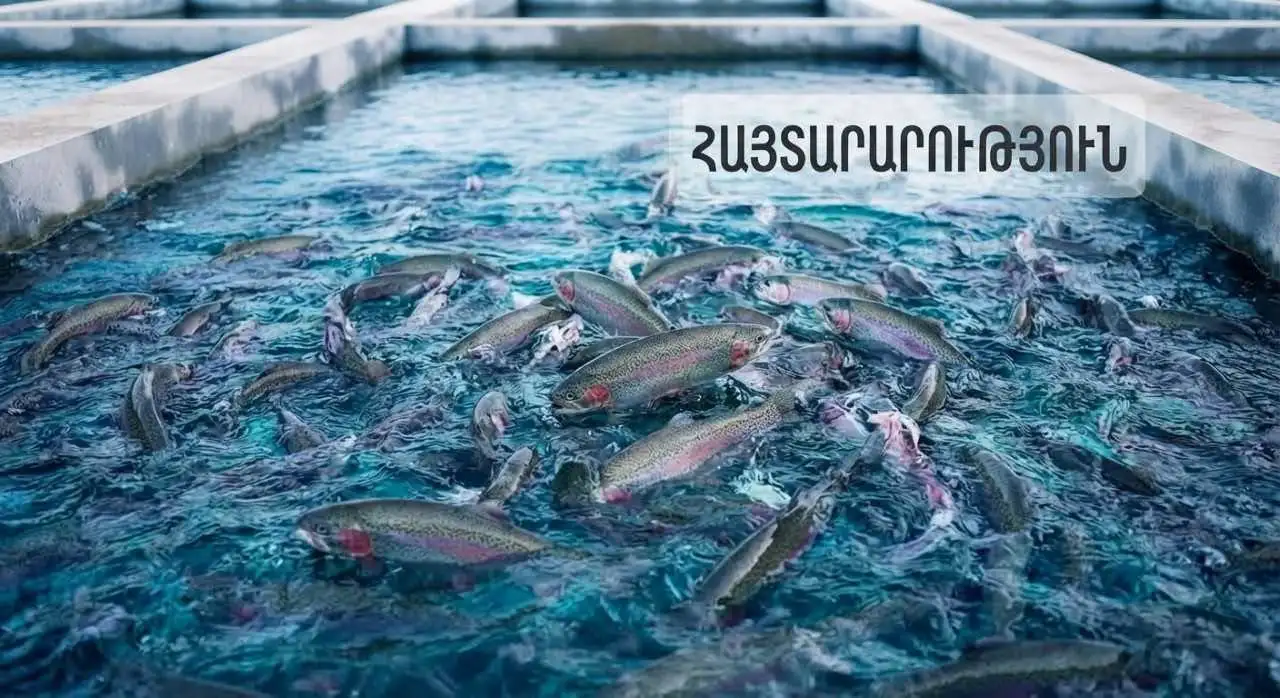 ԱՄԷ է արտահանվել 60 տոննա հայկական ձուկ և ձկնամթերք